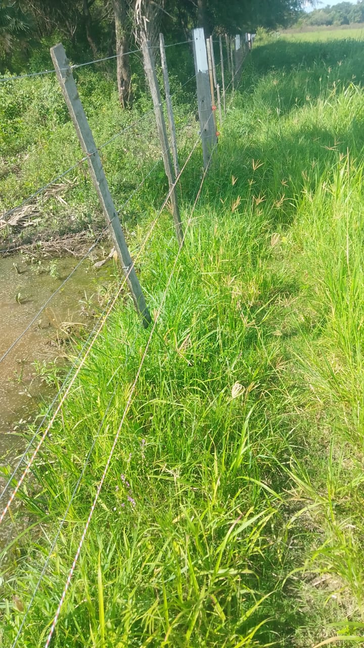 Fortín Yunká - Imagen 2026